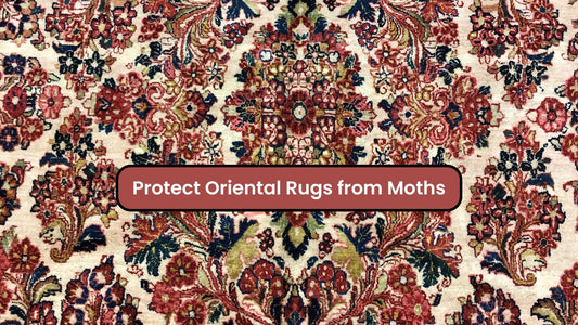 Protect Oriental Rugs from Moths - Moth Infestations - Carpet Moth Infestations