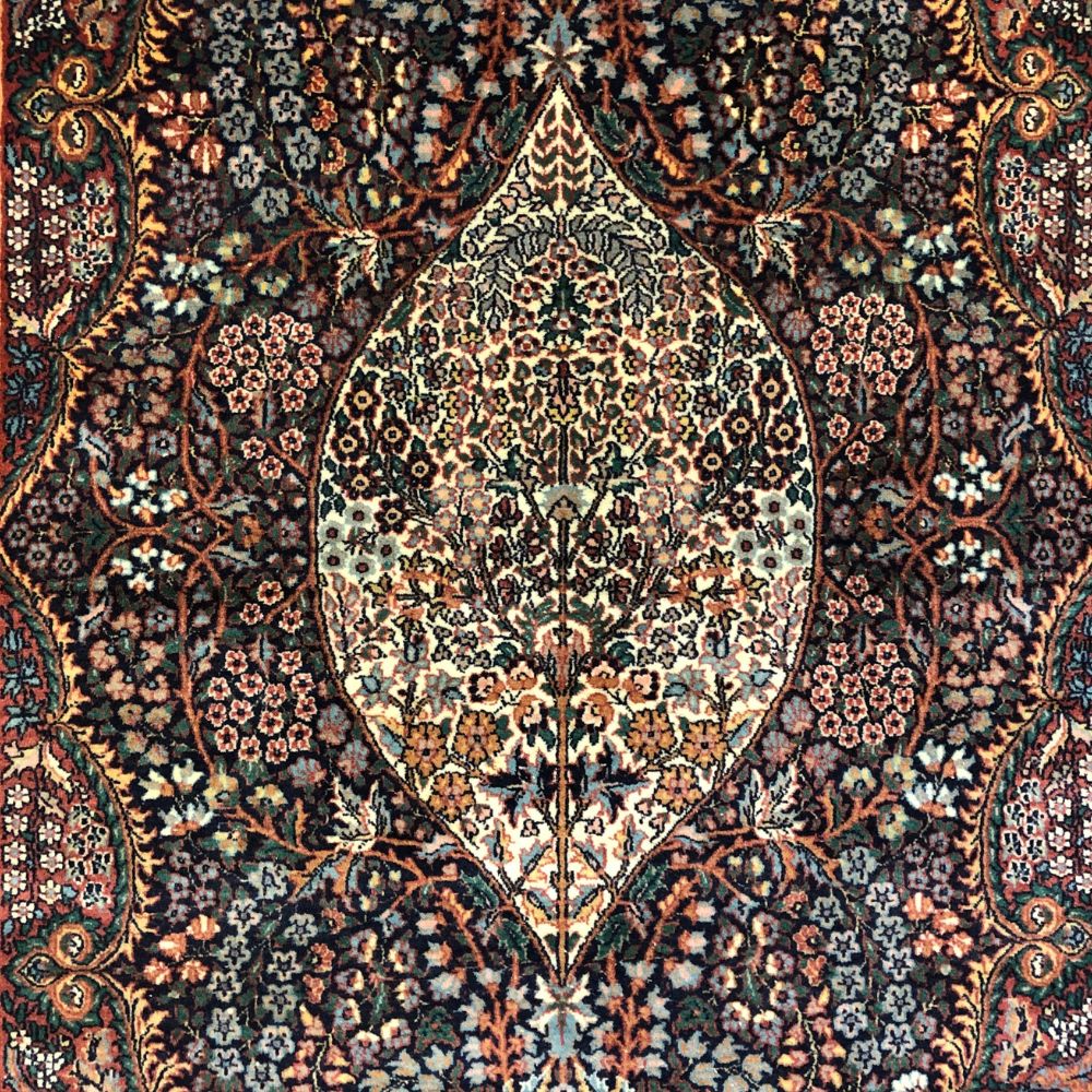 Indian Rug - Kashmir 4'7" x 7'2" - Vintage Rugs - Handmade Rugs - Oriental Rug Exchange - Rug Store - Toronto