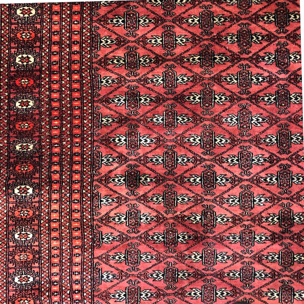 Bokhara Rug from Pakistan - 8'5" x 11'1" - Handmade Rugs - Vintage Rugs - Oriental Rug Exchange