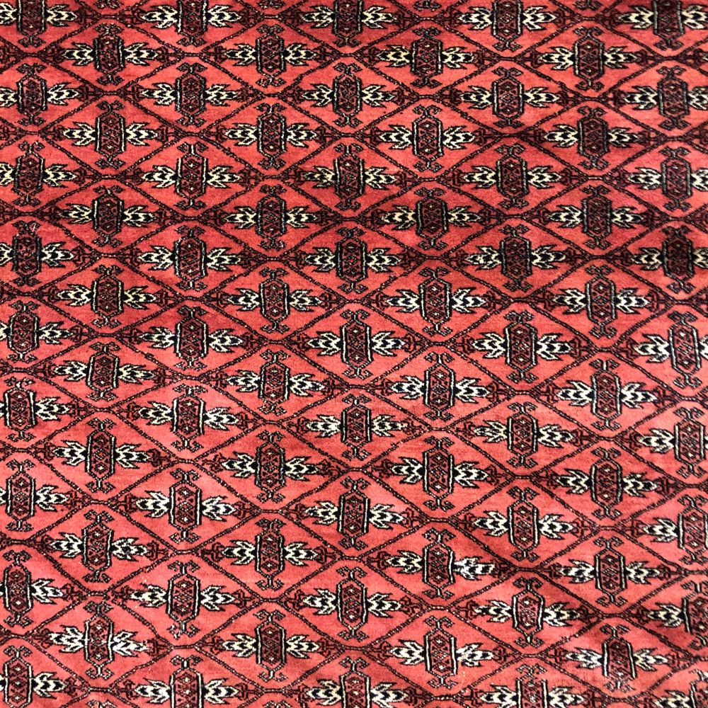 Bokhara Rug from Pakistan - 8'5" x 11'1" - Handmade Rugs - Vintage Rugs - Oriental Rug Exchange