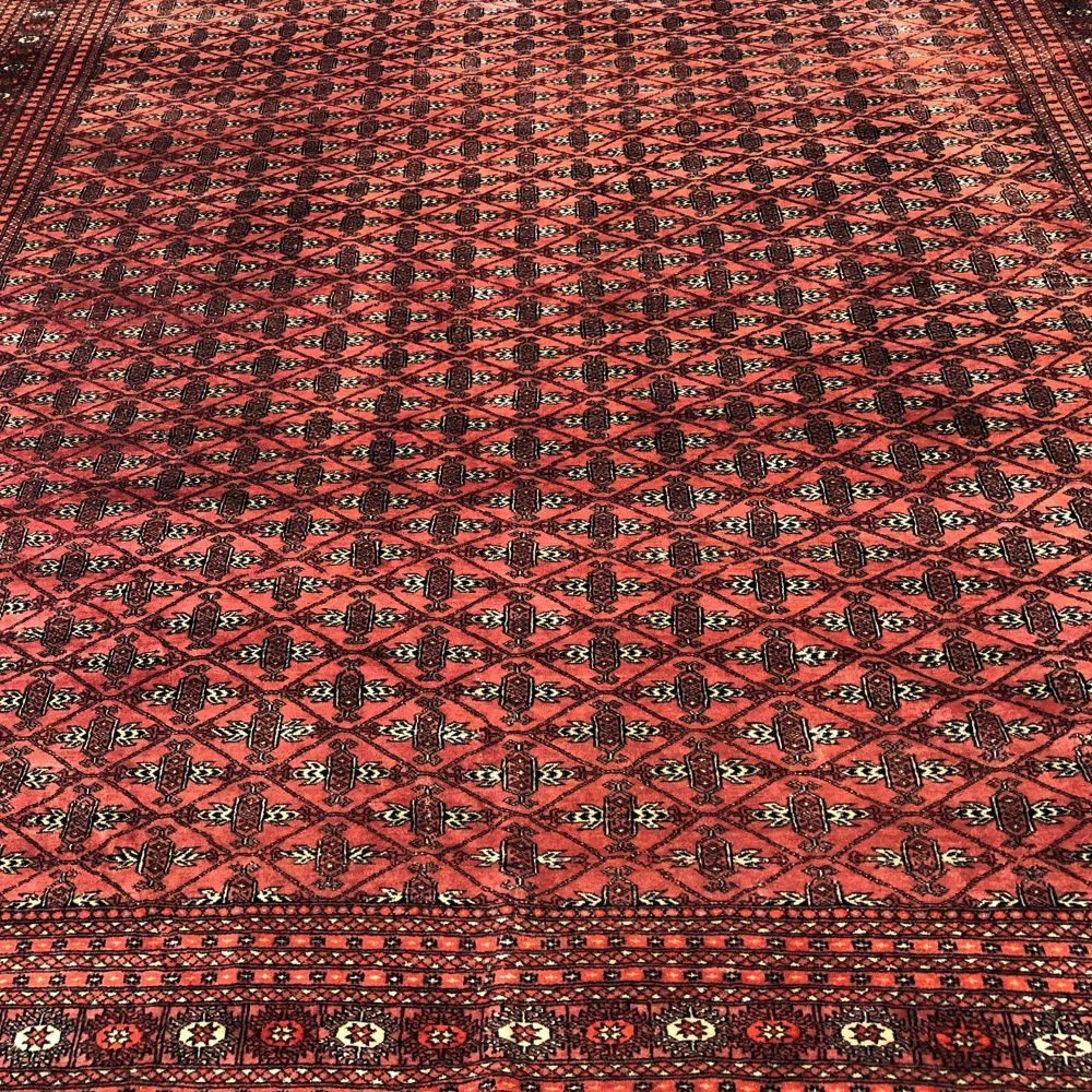 Bokhara Rug from Pakistan - 8'5" x 11'1" - Handmade Rugs - Vintage Rugs - Oriental Rug Exchange