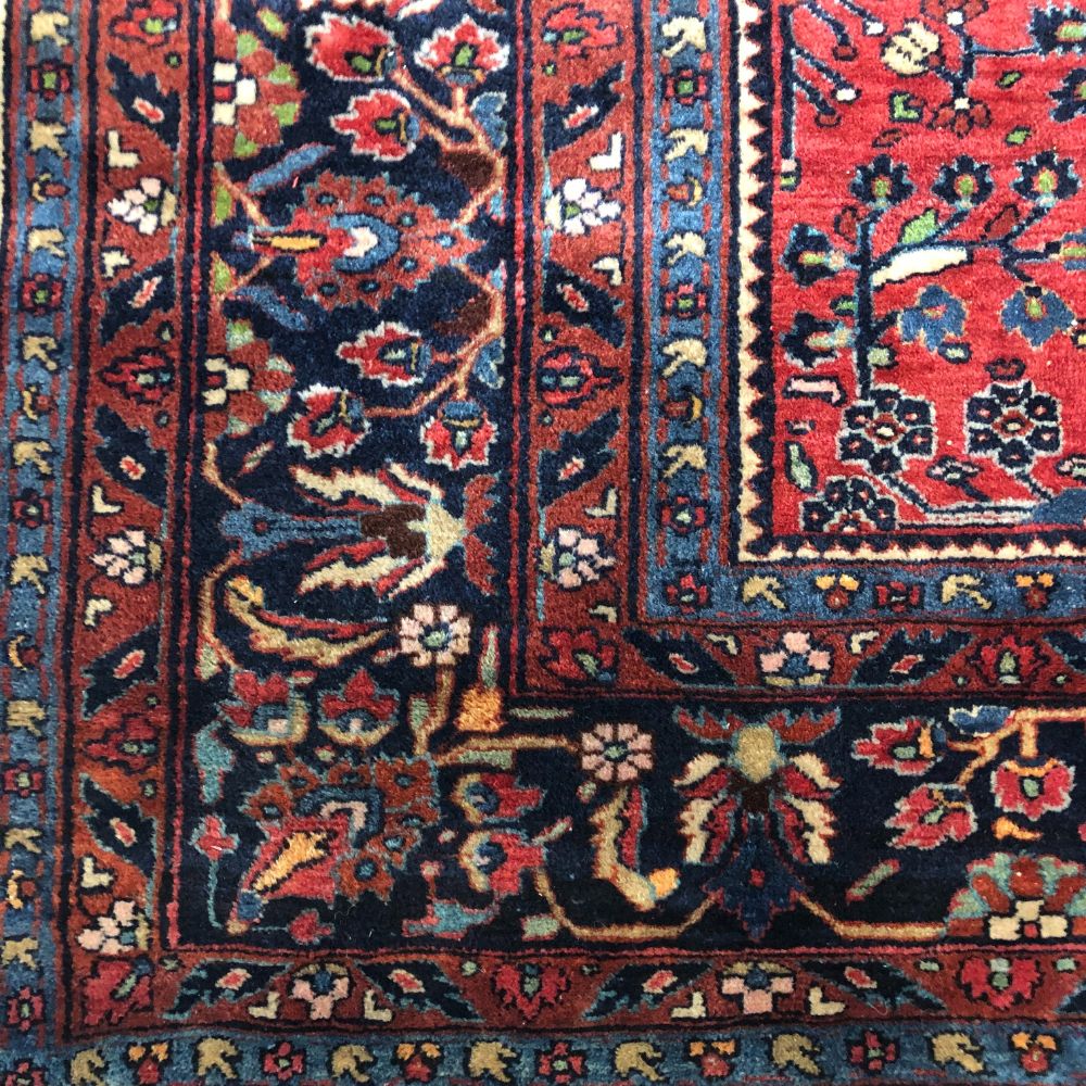 Persian Rug Hamadan 9'1" x 12'3" - Antique Rug - Border