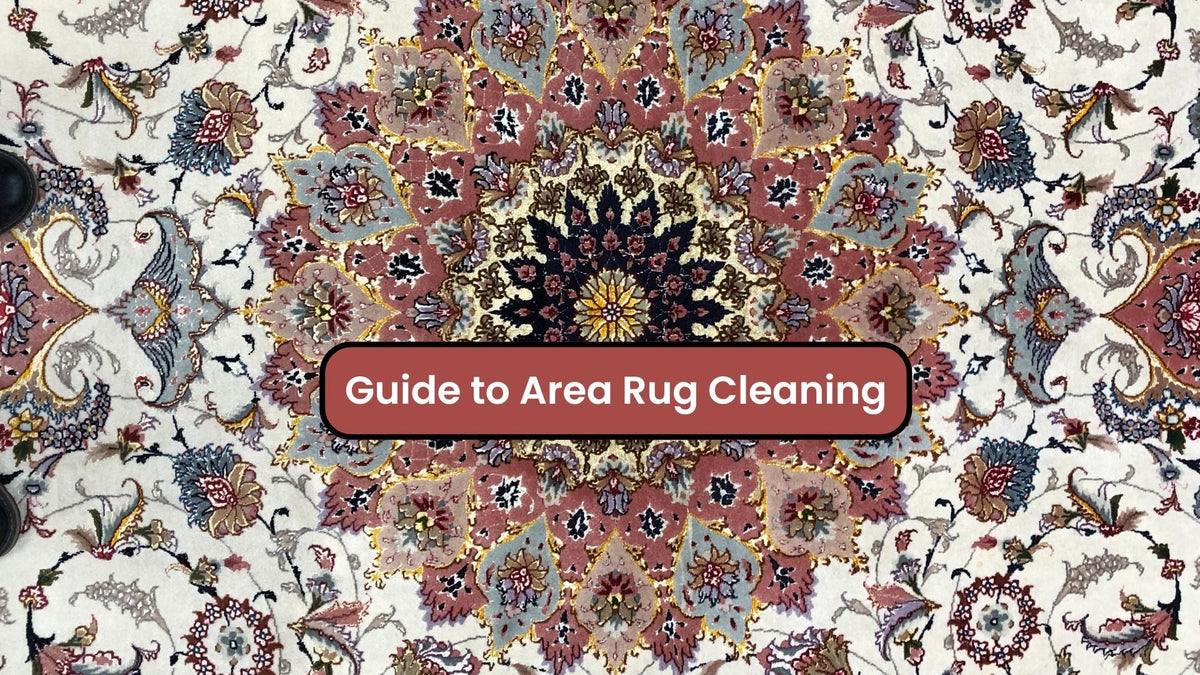Guide to Area Rug Cleaning