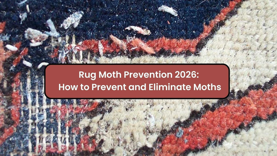 Rug Moth Prevention 2026: How to Prevent and Eliminate Moths