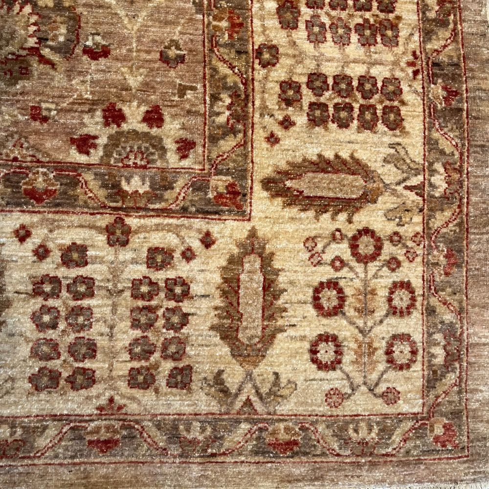 Pakistani Rugs - Peshawar 8'7" x 12'2" - Handmade Rugs  - Border