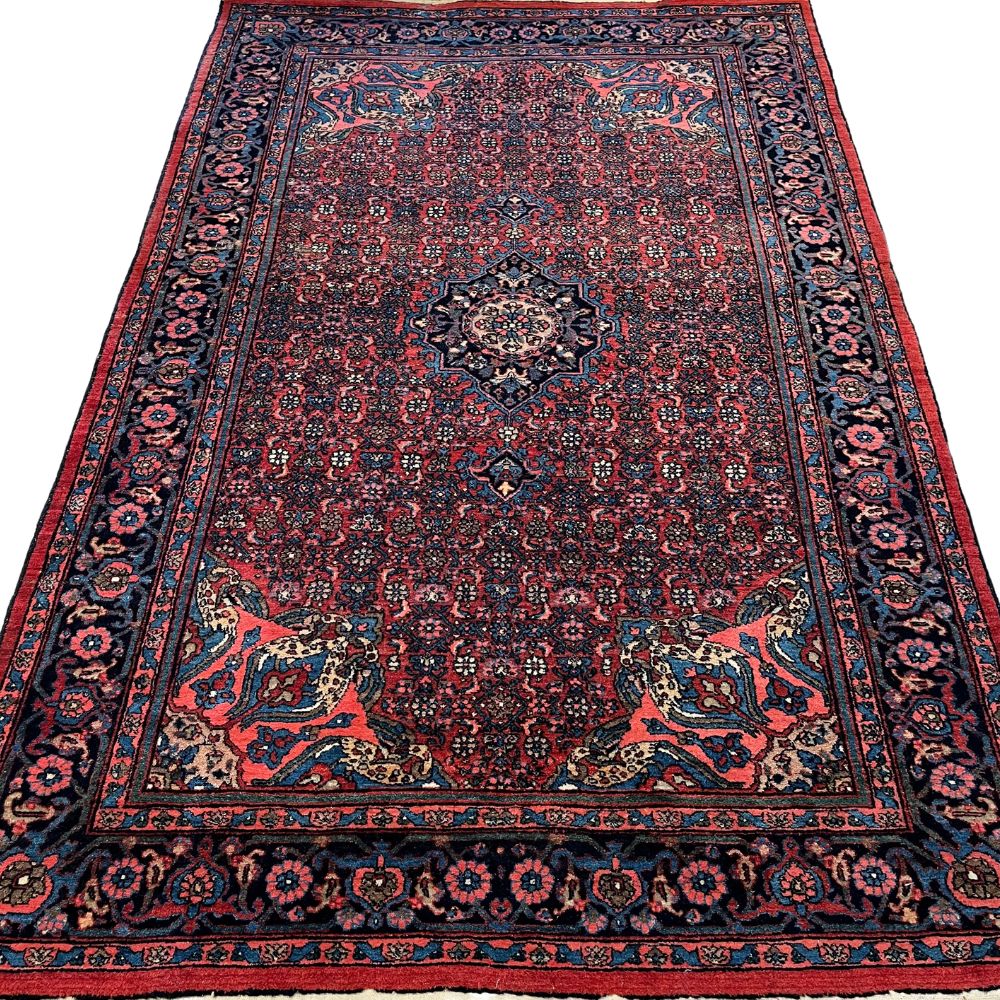 Persian Rug - Bidjar 4'5" x 7'