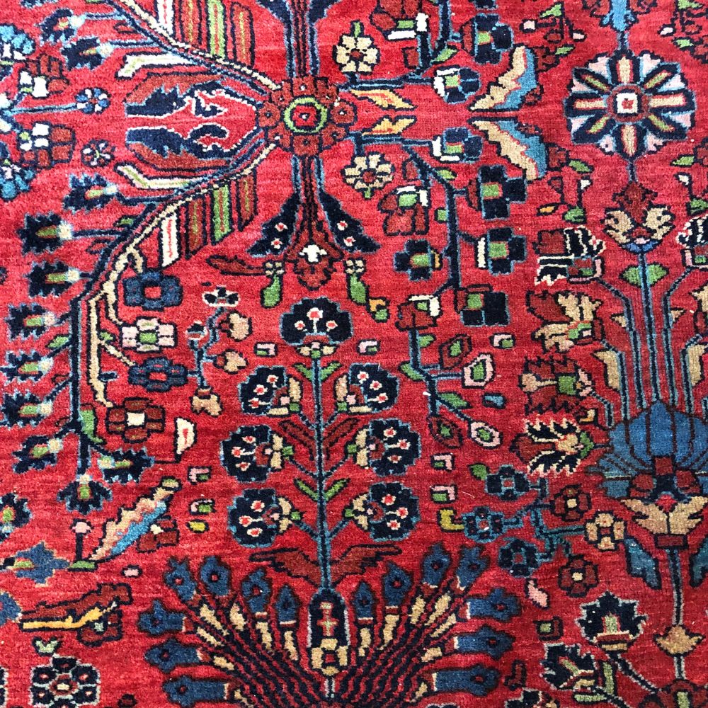 Persian Rug Hamadan 9'1" x 12'3" Antique Rugs - Field