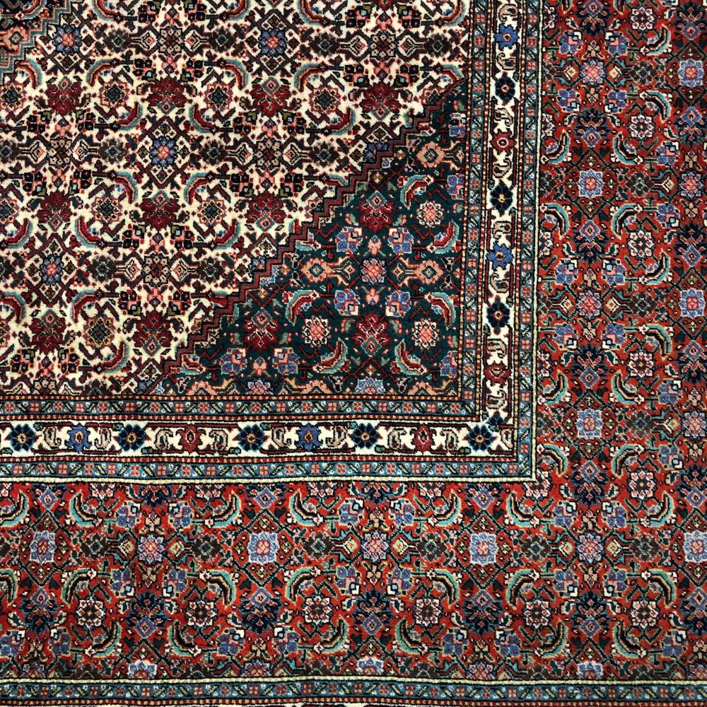 Persian Rug - Tabriz 9'11" x 13' - Tabriz Persian Rug - Persian Carpets - Border