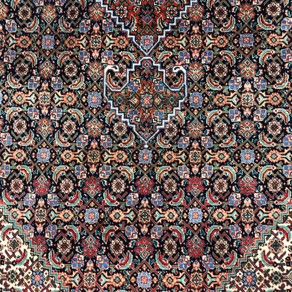 Persian Rug - Tabriz 9'11" x 13' - Tabriz Persian Rug - Persian Carpets - Field